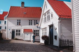 The premium Scandinavian doors for your house